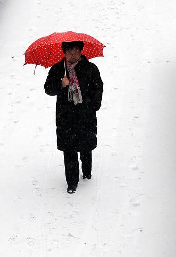 2月3日,一名市民在雪中散步。新華社記者 何俊昌 攝