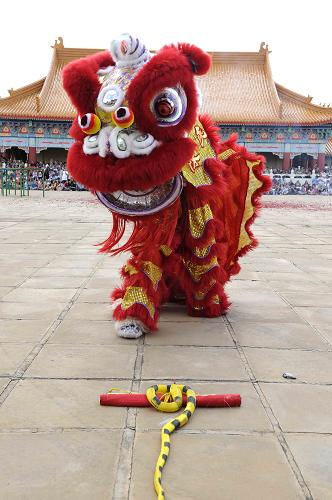 2月10日,在南非行政首都比勒陀利亞以東50公里的南華寺,人們?cè)谥袊?guó)文化嘉年華上觀看舞獅表演。當(dāng)日,為慶祝蛇年春節(jié),中國(guó)文化嘉年華在位于南非行政首都比勒陀利亞以東50公里的南華寺舉行,吸引了數(shù)萬華人華僑和當(dāng)?shù)孛癖姟H藗兺ㄟ^觀看舞龍舞獅表演、繪燈籠、嘗中國(guó)美食、品中國(guó)茶、購(gòu)買手工藝品,感受中國(guó)年文化。新華社記者 李啟華 攝