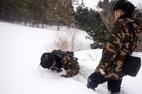 3月1日,在積雪厚度達80多厘米的長春凈月開發(fā)區(qū)輸變電所附近,監(jiān)測員韓巖(左)不小心陷入一處雪坑中。新華社記者 林宏 攝