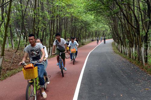 4月29日,游人在江西省南昌市東郊的艾溪湖濕地公園內(nèi)騎車(chē)。新華社記者 宋振平 攝