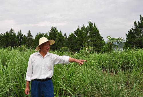 5月26日,一名工人在德興銅礦1號尾砂庫壩面介紹當年植樹的情況。新華社發(fā)