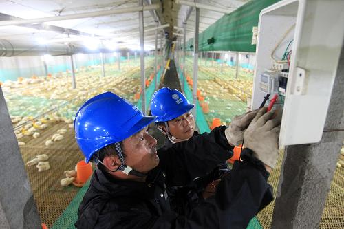 7月11日,山東省濱州市無(wú)棣縣信陽(yáng)供電所職工在吳季里村一家牧業(yè)公司為養(yǎng)殖戶維護(hù)用電設(shè)備。連日來(lái),山東無(wú)棣持續(xù)高溫繼而又連續(xù)降雨,一旦發(fā)生停電等事故將對(duì)養(yǎng)殖業(yè)造成巨大損失。針對(duì)此情況,無(wú)棣縣供電公司組織基層供電單位精干力量,對(duì)該縣養(yǎng)殖戶用電設(shè)備及線路進(jìn)行檢查和維護(hù),保障養(yǎng)殖戶可靠用電,安全度夏。新華社發(fā)(李振平 攝)