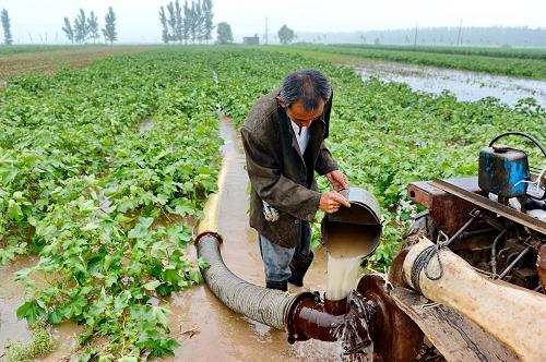 這是新河縣南馮召村的一位農(nóng)民在安裝水泵,準(zhǔn)備將田間的積水排出以減小損失(7月11日攝)。新華社記者 楊世堯 攝