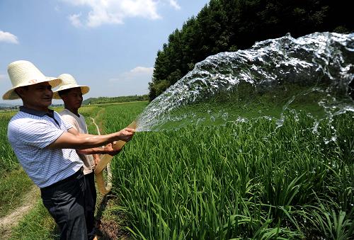 江西分宜縣操場鄉(xiāng)太湖村村干部在給41歲的種糧大戶劉傳生家種的晚稻田抽水灌溉(8月7日攝)。持續(xù)晴熱高溫少雨,贛鄱大地旱情似火。連日來,記者深入驕陽當(dāng)頭的江西旱區(qū),見證了當(dāng)?shù)馗刹咳罕?、武警官兵齊心抗旱保收、協(xié)力保障飲水的場景。新華社記者周科攝
