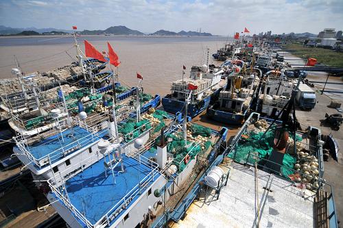 10月3日,浙江臺州漁業(yè)交易市場碼頭停泊著大量進(jìn)港避風(fēng)的漁船。新華社發(fā)(郟策 攝)