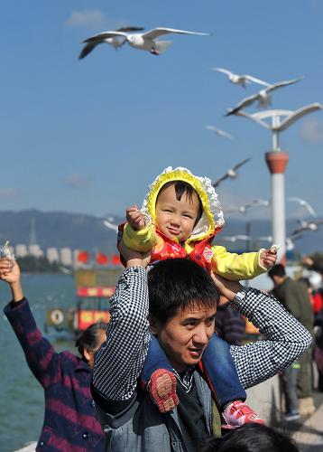 10月30日,游客帶著孩子在昆明滇池草海大壩上觀賞紅嘴鷗。新華社記者 藺以光 攝