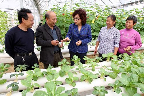 在南昌市青山湖區(qū)楊子洲鎮(zhèn),培訓(xùn)老師(中)與當(dāng)?shù)攸h員和群眾交流蔬菜種植技術(shù)(10月31日攝)。 新華社記者 周科 攝