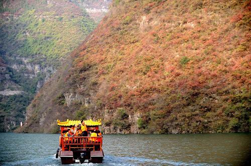 11月17日,游客乘坐游船在巫山神女溪景區(qū)觀賞紅葉。新華社記者 李健 攝