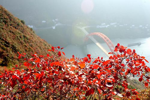 巫山縣城對岸文峰公園滿山紅葉,一艘貨船正穿過巫山長江大橋駛向下游(11月16日攝)。“滿山紅葉似彩霞,彩霞年年映三峽。”目前,長江巫山段滿山紅葉、層林盡染,正值觀賞巫山紅葉最佳時節(jié)。近年來,重慶市巫山縣從傳統(tǒng)農(nóng)業(yè)縣向旅游大縣轉(zhuǎn)型,以特色旅游資源巫山紅葉為載體,將旅游打造成支柱產(chǎn)業(yè)。2012年,該縣全年接待游客量突破500萬人次,旅游綜合效益達(dá)18億。新華社記者 李健 攝