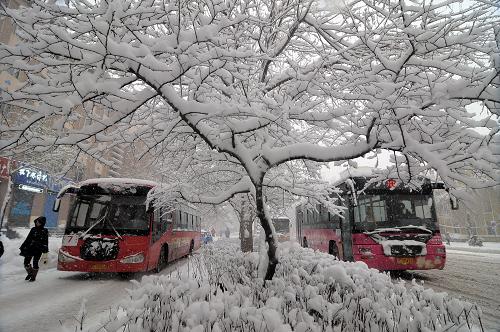 11月25日,黑龍江牡丹江市街頭,車輛在風(fēng)雪中行進(jìn)。新華社發(fā)(張春祥 攝)