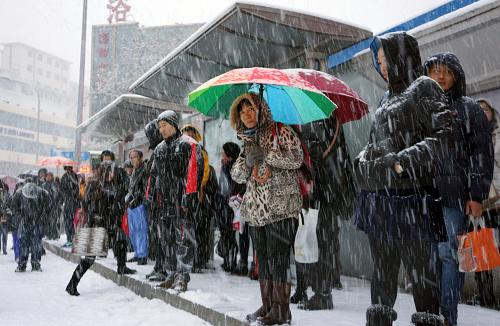 11月27日,大連市民冒雪出行。新華社發(fā)(李雪勁 攝)