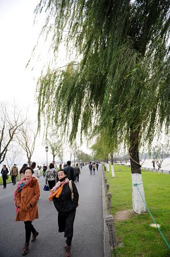 11月27日,游客在杭州市西湖景區(qū)游覽。新華社記者 鞠煥宗 攝