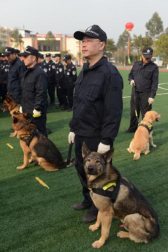 12月27日,參加比武的民警在進(jìn)行警犬匯演。新華社發(fā)(胡嘉巖 攝)