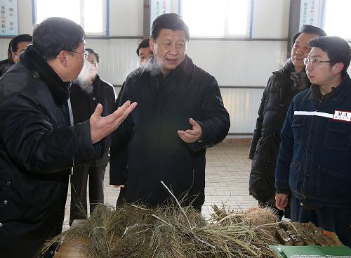 農(nóng)歷馬年春節(jié)即將到來之際,中共中央總書記、國家主席、中央軍委主席習(xí)近平近日來到內(nèi)蒙古,看望慰問各族干部群眾,向全國各族人民致以誠摯的新春祝福。這是1月27日,習(xí)近平在錫林郭勒盟毛登牧場飼草產(chǎn)業(yè)基地牧草顆粒加工車間,了解牧草深加工情況。 新華社記者 龐興雷 攝