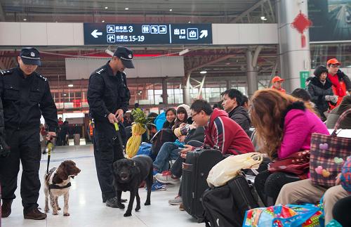 2月5日,搜爆犬“酸奶”(左)和它的搭檔、警犬“朱蒂”在重慶火車北站候車室內(nèi)進(jìn)行嗅查。新華社記者 劉潺 攝