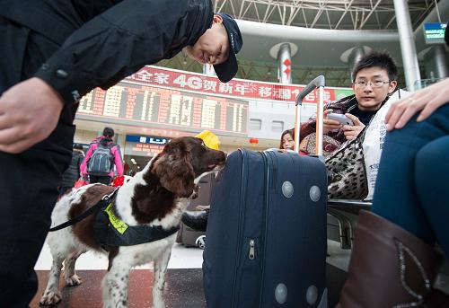 2月5日,搜爆犬“酸奶”和警官孟圻昕在重慶火車北站候車室內(nèi)對旅客行李進(jìn)行嗅查。新華社記者 劉潺 攝