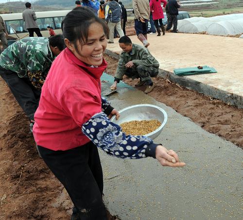 2月18日,廣西南寧市那冷坡村農(nóng)民采用旱育稀植技術(shù)進(jìn)行早稻育秧。新華社發(fā)(喻湘泉 攝)