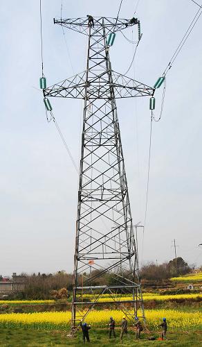 3月27日,江西九江供電公司的工人們?cè)诰沤?20千伏潯港輸電線路的鐵塔上帶電安裝“TH型組合避雷針”。新華社發(fā)(胡國林 攝)