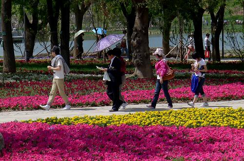 4月23日,游客漫步在西安世園會(huì)園區(qū)內(nèi)。新華社記者 焦衛(wèi)平 攝