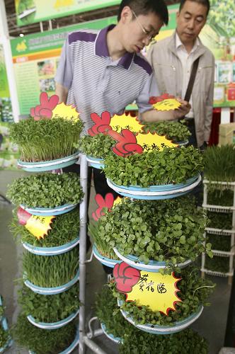 5月11日,在北京全國農(nóng)展館舉行的國際現(xiàn)代農(nóng)業(yè)展覽會上,觀眾參觀無土種植有機蔬菜。當日,第二屆北京國際現(xiàn)代農(nóng)業(yè)展覽會在全國農(nóng)業(yè)展覽館開幕。本屆展會匯集了近300家國內(nèi)外企業(yè),展現(xiàn)了當前世界現(xiàn)代農(nóng)業(yè)的最新技術(shù)與裝備,吸引眾多專業(yè)人士到場參觀。新華社發(fā)(趙冰 攝)