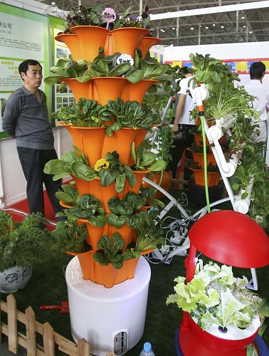 5月11日,在北京全國農(nóng)展館舉行的國際現(xiàn)代農(nóng)業(yè)展覽會上,一位觀眾在展出的“陽臺菜園”前駐足。新華社發(fā)(趙冰 攝)