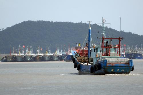 8月5日,一艘漁船進入浙江象山崇讒港避風(fēng)。新華社記者 鞠煥宗 攝