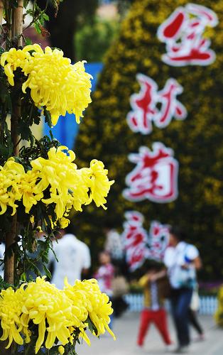9月11日,市民在菊花展上賞菊。新華社記者 王建威 攝