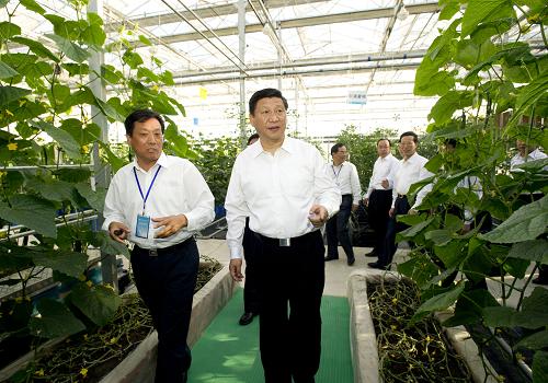 9月22日至23日,中共中央政治局常委、中央書記處書記、國家副主席習(xí)近平在天津調(diào)研。這是9月22日,習(xí)近平在天津市現(xiàn)代農(nóng)業(yè)科技創(chuàng)新基地智能溫室育種區(qū)了解蔬菜、果樹的育種情況。新華社記者李學(xué)仁攝