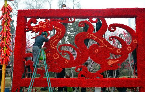1月17日,在鄭州市內(nèi)的一個(gè)公園里,園林工人用12000多棵康乃馨扎制龍形圖案擺花。新華社記者 王頌 攝
