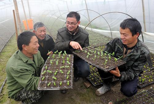 2月9日,南豐縣農(nóng)業(yè)局技術(shù)人員王云光(右二)在傅坊鄉(xiāng)梅林村指導(dǎo)當(dāng)?shù)剞r(nóng)民做好果蔬防凍工作。新華社記者 周科 攝