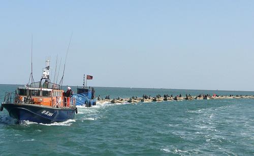 2月16日,北海救助局“華英384”救助艇對(duì)漁船船組實(shí)施拖救。當(dāng)日下午,山東榮成養(yǎng)殖拖船“魯榮漁5402”拖帶32艘舢板,在榮成海域返港途中,拖船主機(jī)發(fā)生故障,整支船隊(duì)失控,64人遇險(xiǎn)。交通運(yùn)輸部北海救助局接到求救信息后,立即指令榮成基地派出近??焖倬戎?#8220;華英384”和“華英386”前往施救。下午3時(shí)左右,兩艘救助艇將遇險(xiǎn)船組安全拖抵碼頭,遇險(xiǎn)人員和船舶全部獲救。新華社發(fā)(初陽(yáng) 攝)
