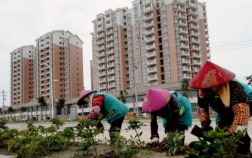 3月9日,園林工人在新落成的晉江市許厝社區(qū)廉租住房小區(qū)周邊綠化。新華社記者 張國俊 攝