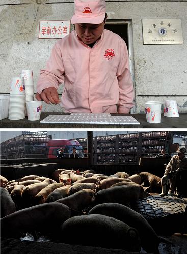 上:在北京“放心肉”試點(diǎn)生產(chǎn)企業(yè)之一的北京第五肉聯(lián)廠,工作人員對(duì)生豬進(jìn)行宰前瘦肉精檢測(cè);下:工作人員將一批生豬運(yùn)送到指定地點(diǎn),準(zhǔn)備進(jìn)行瘦肉精檢測(cè)(拼版照片,攝于3月13日)。作為全國(guó)首批“放心肉”服務(wù)體系建設(shè)試點(diǎn)省市,北京“放心肉”工程已正式實(shí)施。“放心肉”工程是為提升肉品消費(fèi)安全水平而展開的一項(xiàng)民生工程,它運(yùn)用信息技術(shù)手段,在試點(diǎn)范圍內(nèi)建立以屠宰企業(yè)為核心,向上關(guān)聯(lián)養(yǎng)殖場(chǎng)信息、向下追溯至零售終端的全程信息追溯鏈,實(shí)現(xiàn)“來源可追溯、去向可查證、責(zé)任可追究”。目前北京市“放心肉”工程共有3家試點(diǎn)生產(chǎn)企業(yè),據(jù)初步統(tǒng)計(jì),今年前兩個(gè)月這3家試點(diǎn)企業(yè)共屠宰生豬70萬(wàn)頭,約占本市生豬總量的60%。新華社記者公磊攝