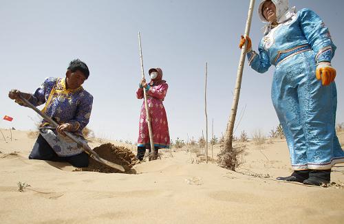 4月22日,沙區(qū)牧民在庫布其沙漠腹地的沙地上植樹。新華社記者 王申 攝