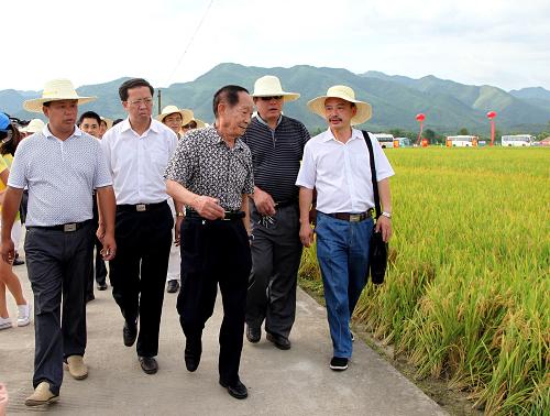 7月9日,袁隆平院士(右三)在湖南永州市零陵區(qū)查看雜交水稻長(zhǎng)勢(shì)。新華社發(fā)(陶旭日 攝)
