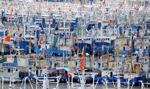 8月26日,在東海作業(yè)的浙江舟山、溫嶺、象山等地近萬艘漁船云集舟山沈家門10里漁港,躲避強臺風“布拉萬”。據(jù)浙江省氣象臺消息,今年第15號熱帶風暴“布拉萬”強度不斷加強,于8月25日17時加強為超強臺風,預(yù)計未來將會給浙江東部、上海等地帶來明顯的大風、暴雨等惡劣天氣。受其影響,浙江省已啟動防臺風IV級應(yīng)急響應(yīng),在東海作業(yè)的漁船紛紛回港避風。新華社發(fā)(胡社友 攝)