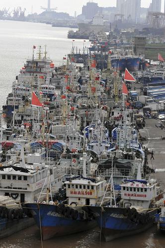 8月26日,浙江臺州海門港漁業(yè)市場碼頭停滿了回港避風的漁船。新華社發(fā)(郟策 攝)