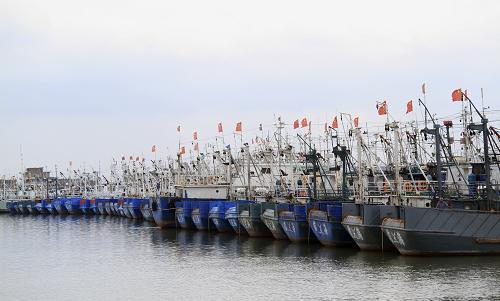 8月26日,大批漁船停泊在浙江臺州市金清漁港內(nèi),躲避臺風“布拉萬”。新華社發(fā)(梁敏慧 攝)