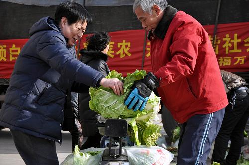 12月17日,太原市困難群眾在免費領取愛心企業(yè)義購的大白菜。新華社記者 王飛航 攝