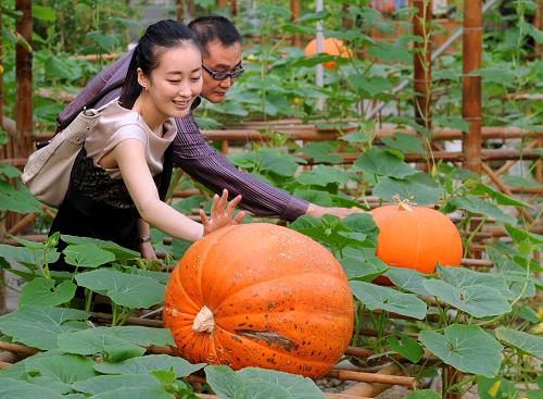 兩名游客在江蘇華西村的高科技生態(tài)農(nóng)業(yè)園景點(diǎn)游玩。新華社記者 孫參 攝