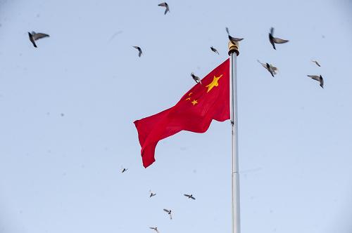 1月1日,和平鴿從北京天安門廣場上空飛過。新華社記者 張宇 攝