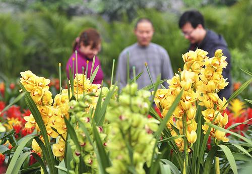 1月22日,山東省濱州市鄒平縣好生鎮(zhèn)花農(nóng)幫助客商選購鮮花。新華社發(fā)(董乃德 攝)