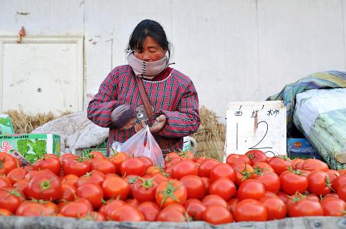 1月29日,在寧夏銀川北環(huán)蔬菜批發(fā)市場內(nèi),一位商販在銷售西紅柿。新華社記者 彭昭之 攝