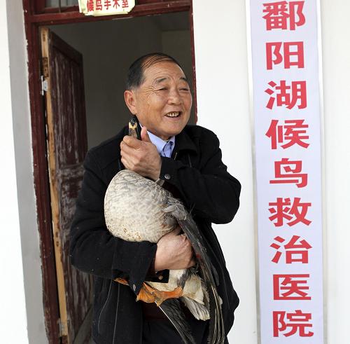 2月1日,在中國(guó)鄱陽(yáng)湖候鳥(niǎo)救治醫(yī)院門(mén)前,院長(zhǎng)李春如懷抱一只正在接受康復(fù)治療的豆雁。當(dāng)日,我國(guó)首家救治候鳥(niǎo)的專(zhuān)業(yè)醫(yī)院——中國(guó)鄱陽(yáng)湖候鳥(niǎo)救治醫(yī)院掛牌成立。座落在江西省九江市都昌縣多寶鄉(xiāng)洞子李村鳥(niǎo)島上的這座候鳥(niǎo)醫(yī)院由民間愛(ài)鳥(niǎo)人士李春如發(fā)起,候鳥(niǎo)保護(hù)部門(mén)及愛(ài)心人士共同出資籌建,醫(yī)院工作人員全部由愛(ài)心人士及志愿者擔(dān)任。新華社發(fā)(傅建斌 攝)