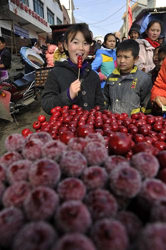 2月10日,在畢節(jié)市納雍縣維新鎮(zhèn)的總溪河廟會(huì)上,一名小女孩在廟會(huì)上購(gòu)買糖葫蘆。新華社記者 歐東衢 攝