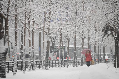 2月28日,行人在雪中出行。新華社記者 潘昱龍 攝