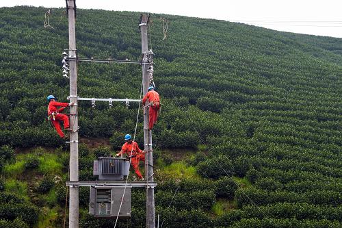 3月20日,安吉縣天子湖供配電營(yíng)業(yè)所的電力工人為古城村毛草坑茶園架設(shè)一臺(tái)80千伏安的變壓器。新華社記者 徐昱 攝