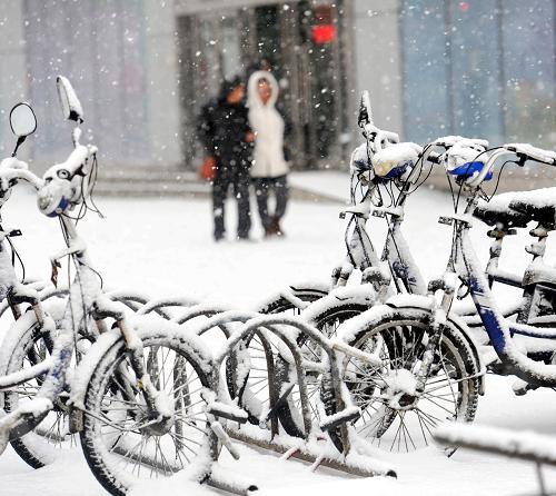 哈爾濱街頭停放的自行車被白雪覆蓋(3月21日攝)。新華社記者 王松 攝