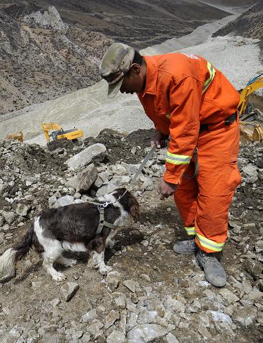 3月30日,救援人員帶著搜救犬在拉薩市墨竹工卡縣山體塌方現(xiàn)場(chǎng)搜救被埋人員。新華社記者 覺(jué)果 攝