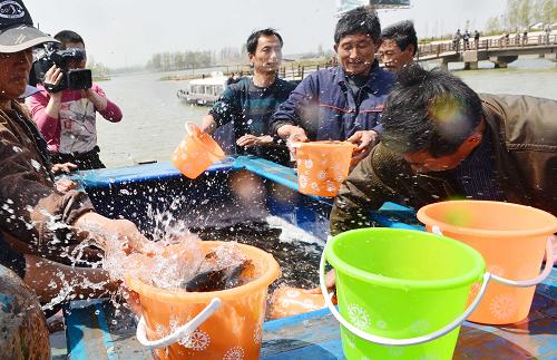 4月13日,居民在提取經(jīng)過檢疫的健康魚苗準(zhǔn)備放流。新華社記者 朱崢 攝